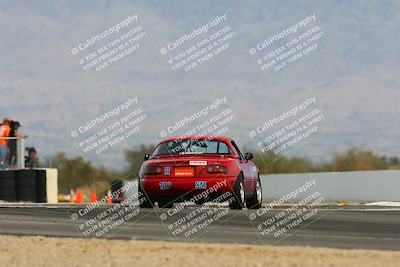 media/Feb-17-2024-Nasa AZ (Sat) [[ca3372609e]]/4-Race Group A/Session 2 Qualify (Turn 16)/